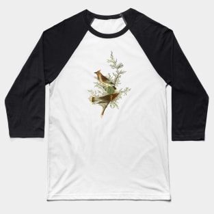 Waxwing Bird Vintage Wildlife Illustration Baseball T-Shirt